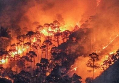 उत्तराखंड में बढ़ी वनाग्नि की घटनाएं, फायर सीजन में अब तक 73 मामले दर्ज