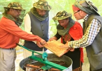 कृषि मंत्री गणेश जोशी ने अपने शासकीय आवास में निकाला शहद