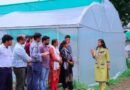 कोट और देवल में फूलों व सब्जियों की खेती से बदलेगी ग्रामीण अर्थव्यवस्था- जिलाधिकारी