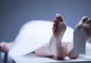 पेड़ गिरने से एक की मौत, दूसरा गंभीर घायल