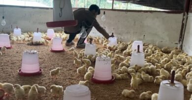 पाबौ का भराड़ी देवी स्वयं सहायता समूह बना मिसाल, गांव में ही रोजगार से आत्मनिर्भर बन रहीं महिलाएं